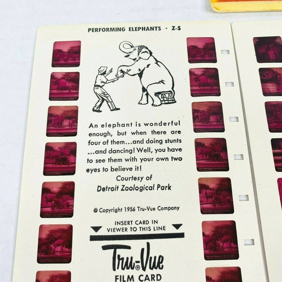 VTG Tru Vue Film‎ 3 Cards Performing Animals ZA-1 - Picture 2 of 5